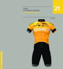 21 TEAM SCHUBERT MOTORS - SPONSOR-EXPOSE