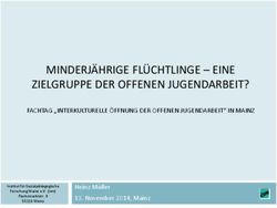 MINDERJÄHRIGE FLÜCHTLINGE - EINE ZIELGRUPPE DER OFFENEN JUGENDARBEIT?