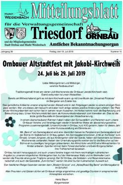 Ornbauer Altstadtfest mit Jakobi-Kirchweih - Juli bis 29. Juli 2019 - Markt Weidenbach