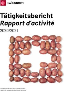 T&auml;tigkeitsbericht Rapport dʼactivit&eacute; 2020/2021 - Swisssem