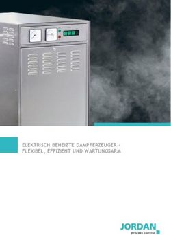 ELEKTRISCH BEHEIZTE DAMPFERZEUGER - FLEXIBEL, EFFIZIENT UND WARTUNGSARM