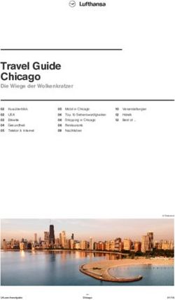 Travel Guide Chicago Die Wiege der Wolkenkratzer