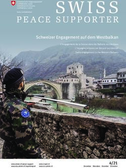 Schweizer Engagement auf dem Westbalkan - Schweizer Armee