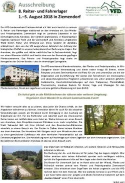 Ausschreibung 8. Reiter- und Fahrerlager 1.-5. August 2018 in Ziemendorf - Pferde + Freizeitparadies