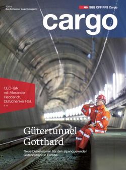 G&uuml;tertunnel Gotthard CEO-Talk mit Alexander Hedderich, DB Schenker Rail.