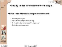 Haftung in der Informationstechnologie - Email- und Internetnutzung im Unternehmen