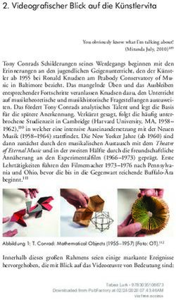 Videografischer Blick auf die K&uuml;nstlervita - Peter Lang