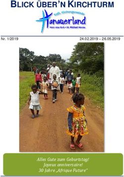 BLICK ÜBER'N KIRCHTURM - Alles Gute zum Geburtstag! Joyeux anniversaire! 30 Jahre "Afrique Future" - Kath. Kirchengemeinde Hanauerland