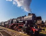 Zug um Zug in Holland unterwegs - Eisenbahn-Romantik kennt keine Grenzen - Reise365.com