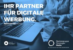 IHR PARTNER F&Uuml;R DIGITALE WERBUNG - MEDIADATEN DIGITAL