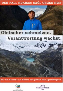 Gletscher schmelzen. Verantwortung wächst - DER FALL HUARAZ: SAÚL GEGEN RWE - Für die Menschen in Huaraz und globale Klimagerechtigkeit ...