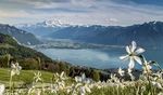 Lago Maggiore oder Montreux - Sonderzugreisen mit dem AKE-RHEINGOLD vom 12. bis 17. Mai 2020 - Berliner Morgenpost