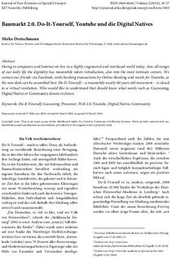 Baumarkt 2.0. Do-It-Yourself, Youtube und die Digital Natives