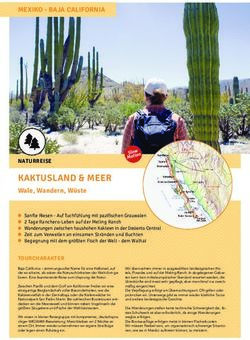 KAKTUSLAND & MEER Wale, Wandern, Wüste - MEXIKO - BAJA CALIFORNIA - WIGWAM Tours