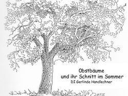 0bstb&auml;ume und ihr Schnitt im Sommer - DI Gerlinde Handlechner - Netzwerk ...