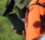 JAGD NACH LIKES Wildtier-Kataster: Die Wiesenweihe Wissenswertes zur ASP - MITTEILUNGSBLATT MIT ABDRUCK DER AMTLICHEN VERLAUTBARUNGEN
