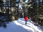 Winterwandern in Südtirol - Auf schönen Wegen zu Hütten und Almen 12 - 16. Februar 2023 - Reisekreativ