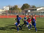 Breama-Bl&auml;ddle - TSG Nattheim