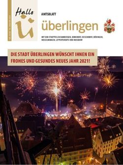 DIE STADT ÜBERLINGEN WÜNSCHT IHNEN EIN FROHES UND GESUNDES NEUES JAHR 2021! - AMTSBLATT - Hallo Ü