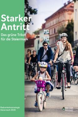 Starker Antritt Das gr&uuml;ne Trikot f&uuml;r die Steiermark - Radverkehrsstrategie Steiermark 2025 - Radkompetenz &Ouml;sterreich