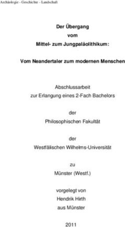 Der Übergang vom Mittelzum Jungpaläolithikum: Vom Neandertaler zum modernen Menschen - Universität ...