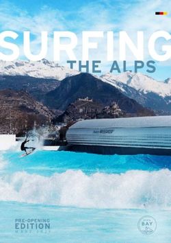 SURFING THE ALPS - EDITION - Alaia Bay