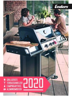 ALUMINIUMBOXEN 2020 GRILLGER&Auml;TE TERRASSENHEIZER CAMPINGARTIKEL - Enders Gasgrill kaufen