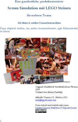 Scrum Simulation mit LEGO Steinen - Eine ganzheitliche, produktorientierte