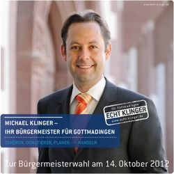 Zur Bürgermeisterwahl am 14. Oktober 2012 - MICHAEL KLINGER - IHR BÜRGERMEISTER FÜR GOTTMADINGEN - Dr. Michael Klinger