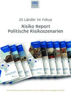 Risiko Report 25 L&auml;nder im Fokus - Politische Risikoszenarien - Funk Stiftung