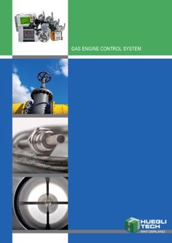 GAS ENGINE CONTROL SYSTEM - Huegli Tech AG