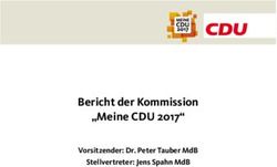 "MEINE CDU 2017" B ERICHT DER KOMMISSION - VORSITZENDER: DR. PETER TAUBER MDB STELLVERTRETER: JENS SPAHN MDB