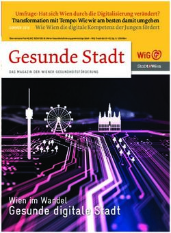 Gesunde Stadt - Wiener Gesundheitsförderung