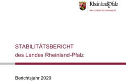 STABILIT&Auml;TSBERICHT des Landes Rheinland-Pfalz - Berichtsjahr 2020