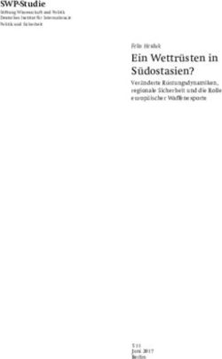 Ein Wettrüsten in Südostasien? - Felix Heiduk - Stiftung Wissenschaft und ...