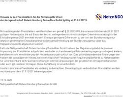 HINWEIS ZU DEN PREISBL&Auml;TTERN F&Uuml;R DIE NETZENTGELTE STROM DER NETZGESELLSCHAFT OSTW&Uuml;RTTEMBERG DONAURIES GMBH (G&Uuml;LTIG AB 01.01.2021)