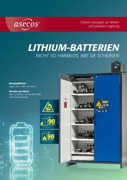 LITHIUM-BATTERIEN NICHT SO HARMLOS, WIE SIE SCHEINEN - Sichere L&ouml;sungen zur aktiven und passiven Lagerung - asecos