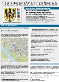 Stadtanzeiger Breisach - Amtliches Mitteilungsblatt - Stadt Breisach am Rhein