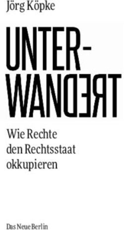 J&ouml;rg K&ouml;pke Wie Rechte den Rechtsstaat okkupieren - Das Neue Berlin