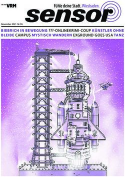 Fühle deine Stadt. Wiesbaden - BIEBRICH IN BEWEGUNG -ONLINEKRIMI-COUP KÜNSTLER OHNE BLEIBE CAMPUS MYSTISCH WANDERN EXGROUND GOES USA TANZ ...