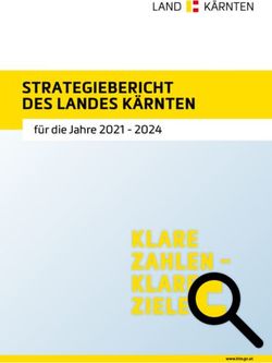 Strategiebericht deS LandeS K&auml;rnten - f&uuml;r die Jahre 2021 2024 - Land K&auml;rnten