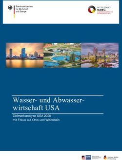 Wasser- und Abwasser-wirtschaft USA - Zielmarktanalyse USA 2020 mit Fokus auf Ohio und Wisconsin