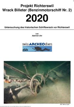 2020 Projekt Richterswil Wrack Billeter (Benzinmotorschiff Nr. 2)