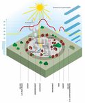 Klimawandel und Klimapolitik - Informationen f&uuml;r Lehrpersonen Zeile 3