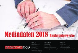 Mediadaten 2018 Bauhauptgewerbe - Certus-Verlag | Certus-Verlag