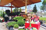 In einer Woche ist Fr&uuml;hlingsmarkt - Gemeinde Uzwil