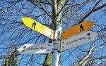 In einer Woche ist Fr&uuml;hlingsmarkt - Gemeinde Uzwil