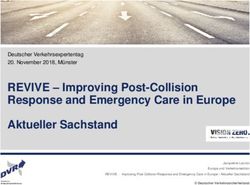 REVIVE - Improving Post-Collision Response and Emergency Care in Europe Aktueller Sachstand