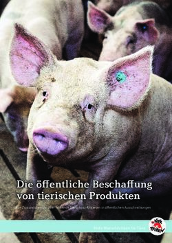 Die &ouml;ffentliche Beschaffung von tierischen Produkten - Ein Zustandsbericht &uuml;ber fehlende Tierschutz-Kriterien in &ouml;ffentlichen Ausschreibungen ...