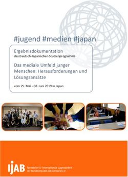 #jugend #medien #japan - Ergebnisdokumentation des Deutsch-Japanischen Studienprogramms - IJAB